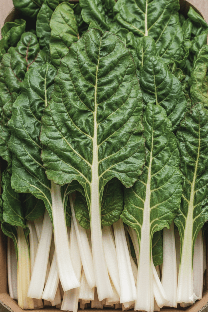 Producteur et expéditeur de blettes