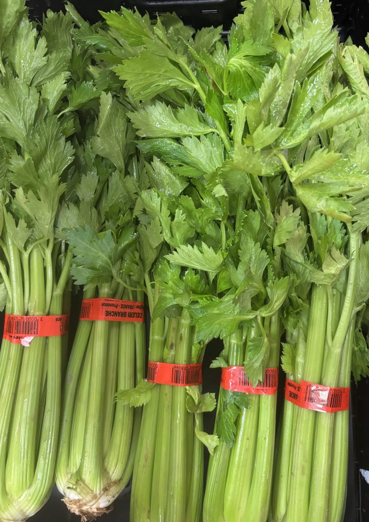 Producteur et expéditeur de célèri