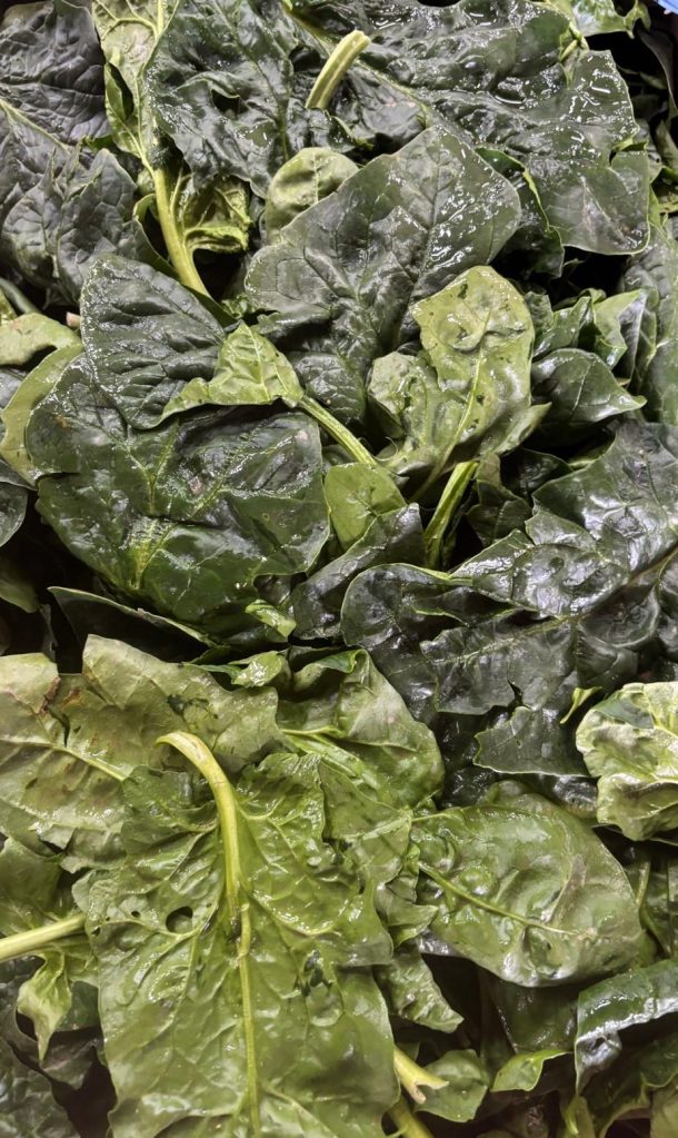 Producteur et expéditeur d'épinards
