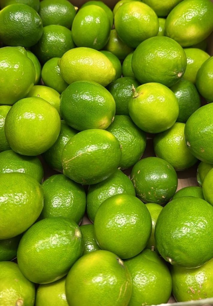 Producteur et expéditeur de citrons